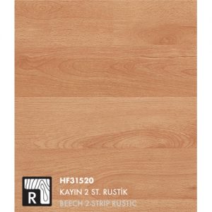 KAYIN rengi parke1
