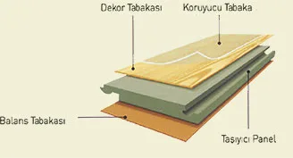 parke-yapisi-parkelam