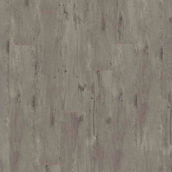 alpine oak grey 1