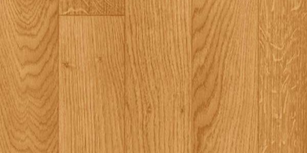 chene robur classic 2