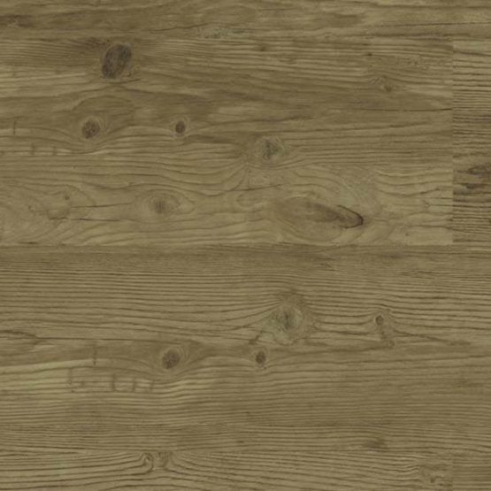 christmas pine brown