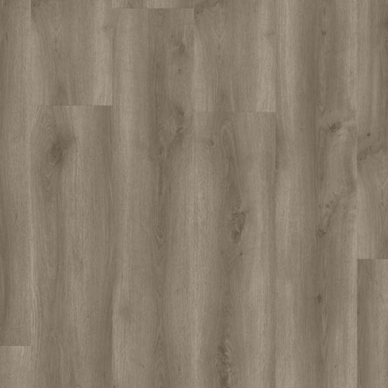 contemporary oak brown