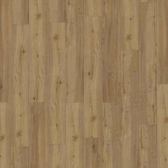 delicate oak natural