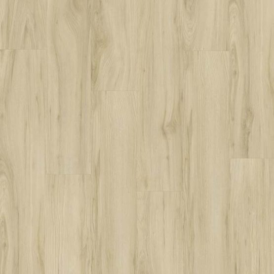 elm natural
