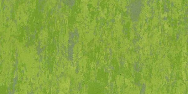 linosport classic lawn 895