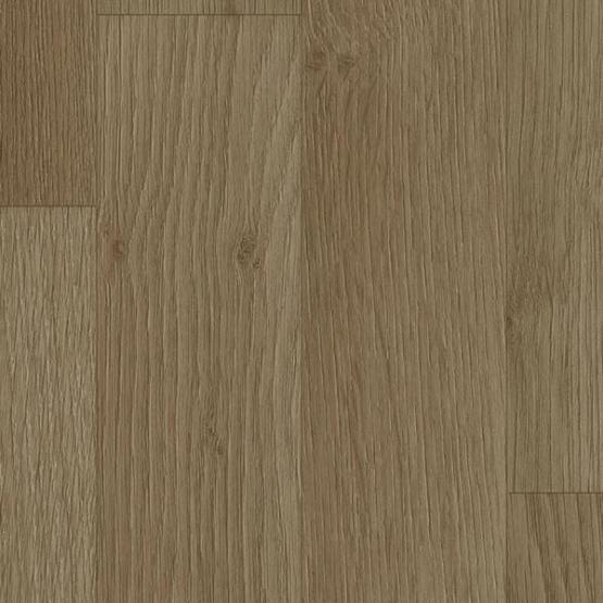 trend oak tren oak smart walnut 1