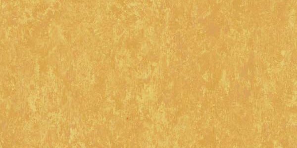 veneto sunflower 628