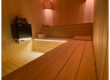 sauna 2