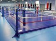 Omnisports Training