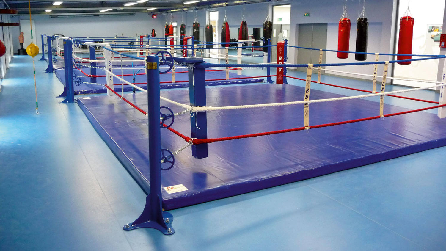 Omnisports Training