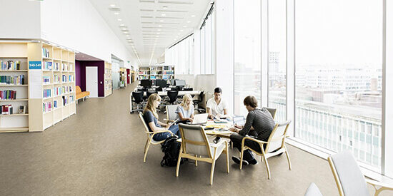 Veneto Acoustic Cork xf 15 dB