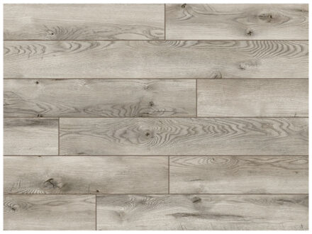 53686 Sonogo Oak 07