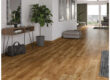 52792 Alberta Oak 01