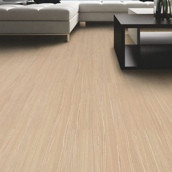 toros sediri 1 toros sediri 1