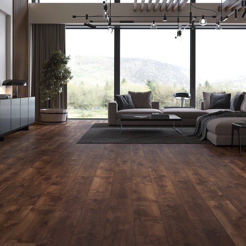 52788 Vision Rainy Oak1