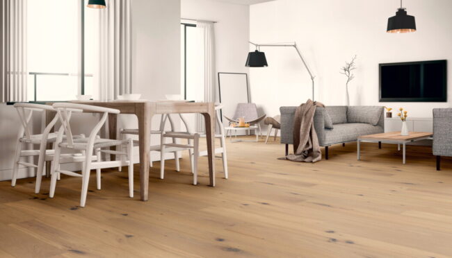 26-A-51LHNoeCL15-EI50-2020-sRGB-72dpi-komprimiert-cc9ef1e0