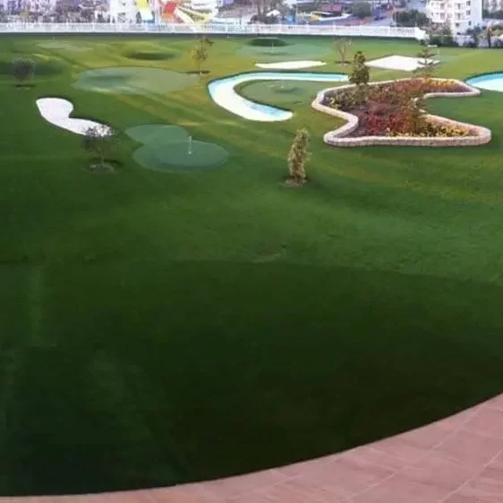 tee grass cim hali.jpg